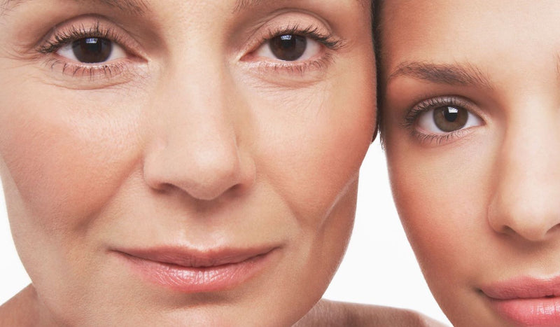 The Science of Skin Ageing