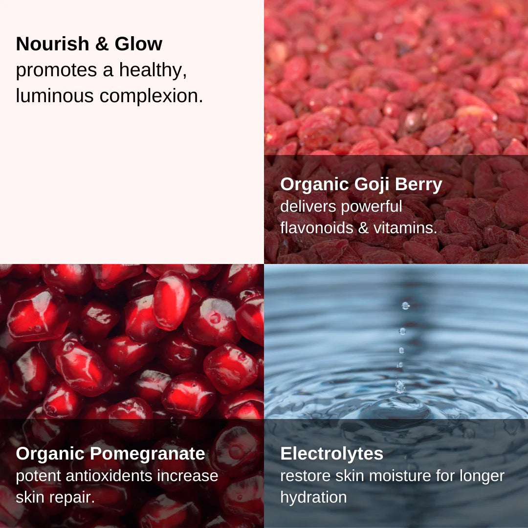 Hydrojelly Mask Kit - Antioxidant Goji